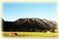 inzell